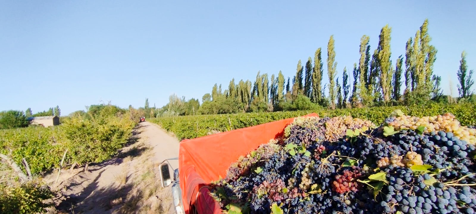 Finca La Nelly